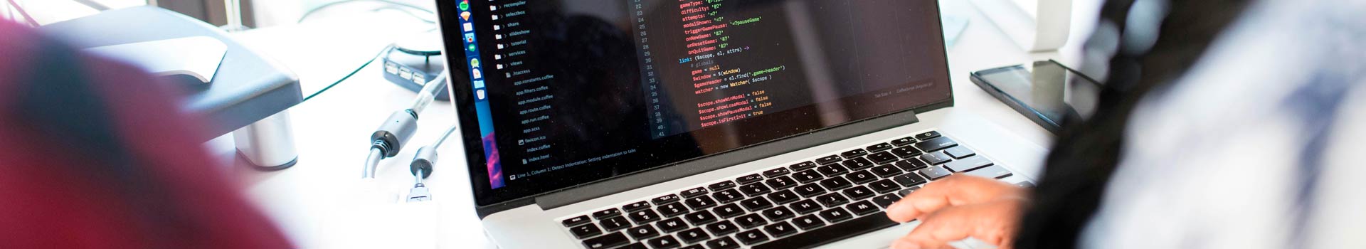 Desarrollo Web en WordPress