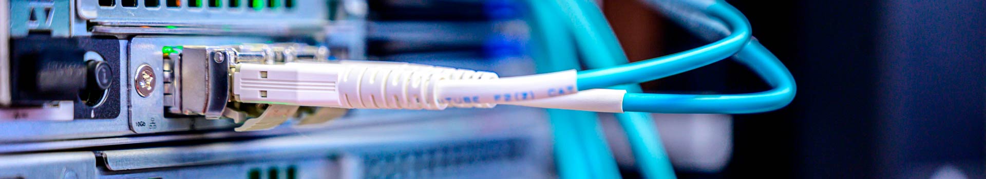 Redes y Protocolos en WordPress